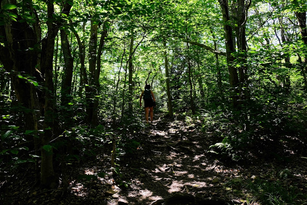 a person walking through a forest on a trail