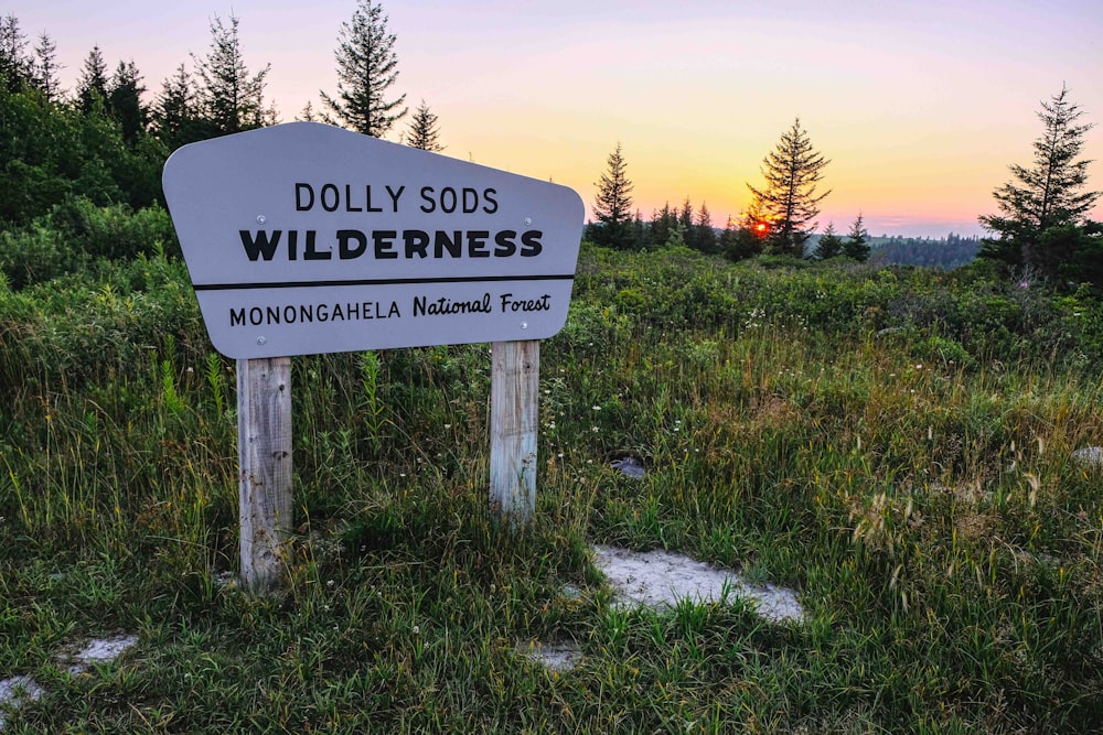 a sign in the middle of a grassy field