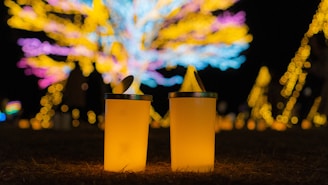 Colorful lights illuminating the festival grounds.
