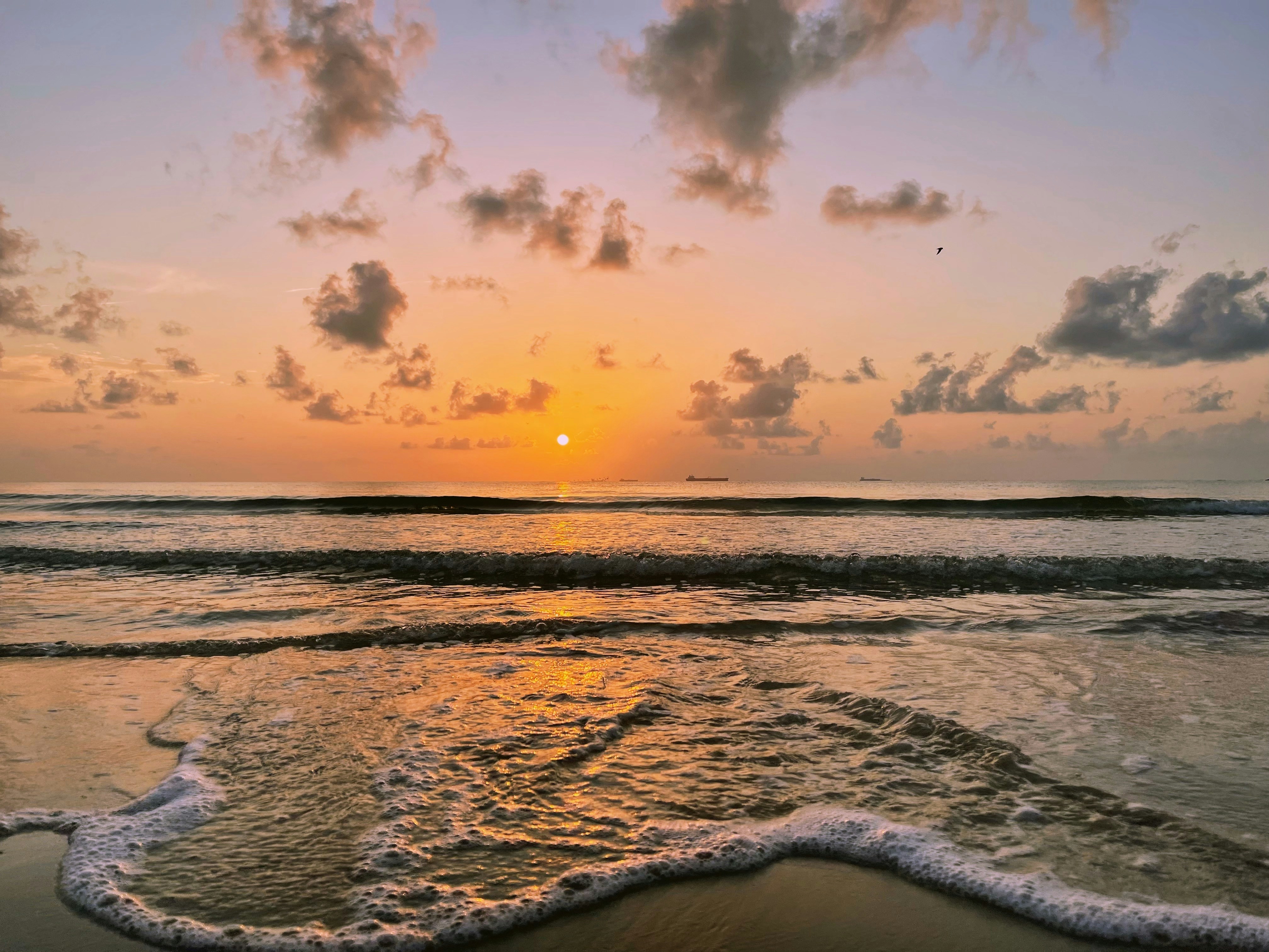 Photo by hannah_inmon