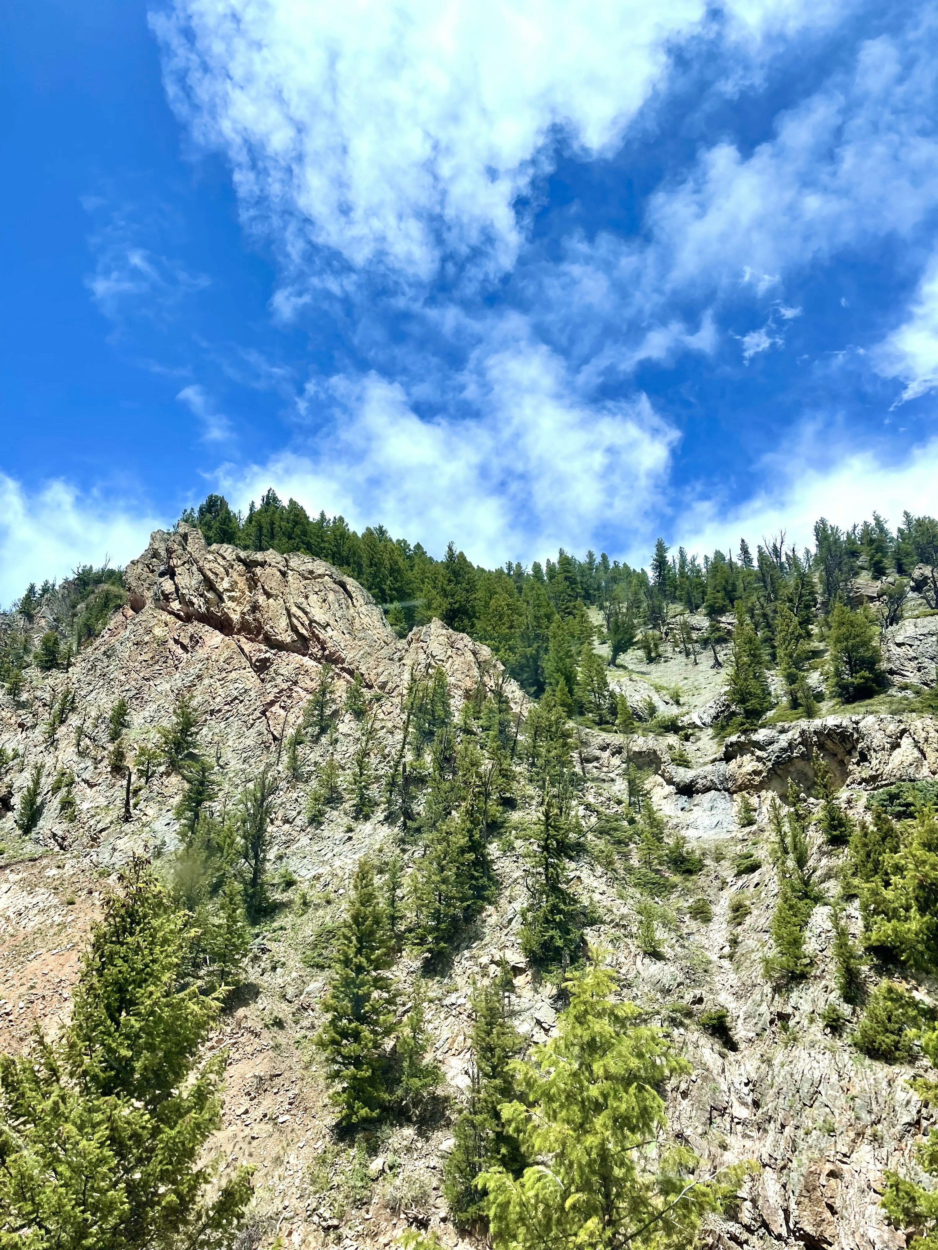 Photo by hannah_inmon