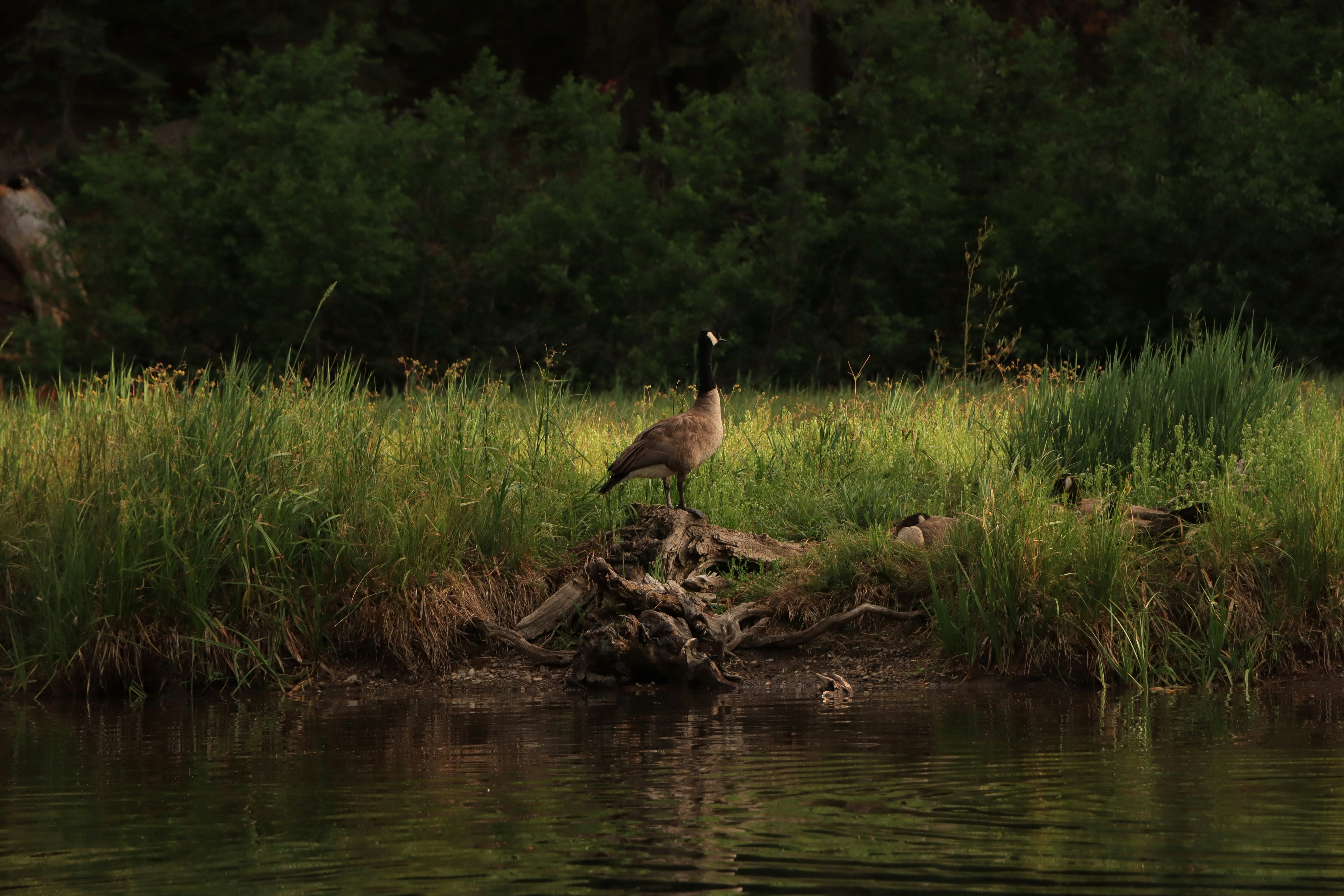 Photo by loggis_lenses