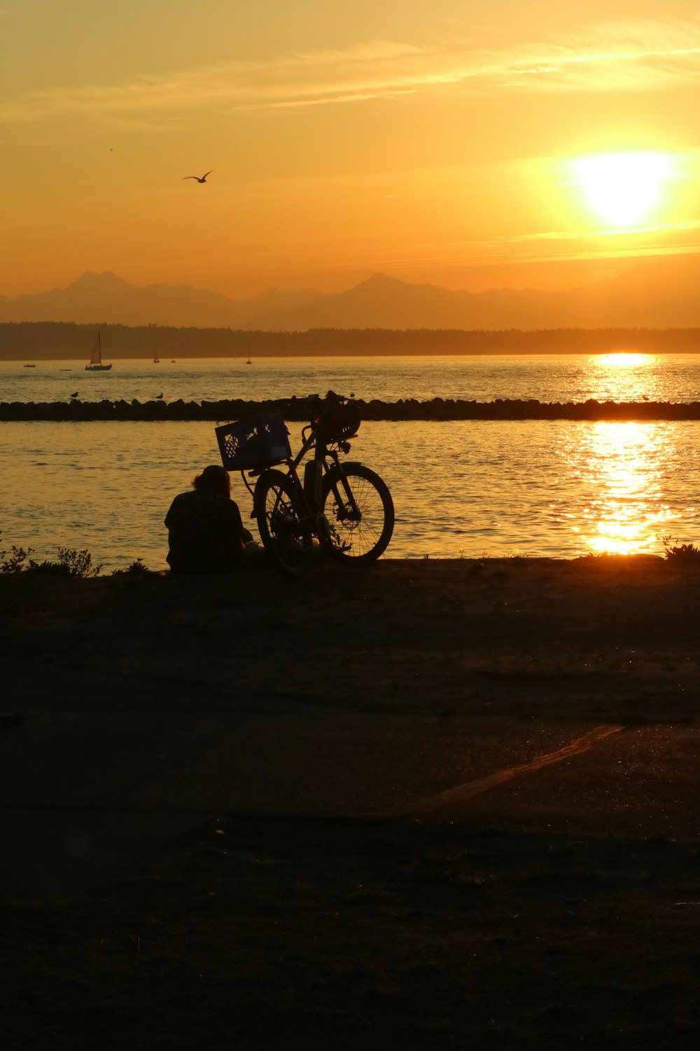 a bike parked next to a body of water