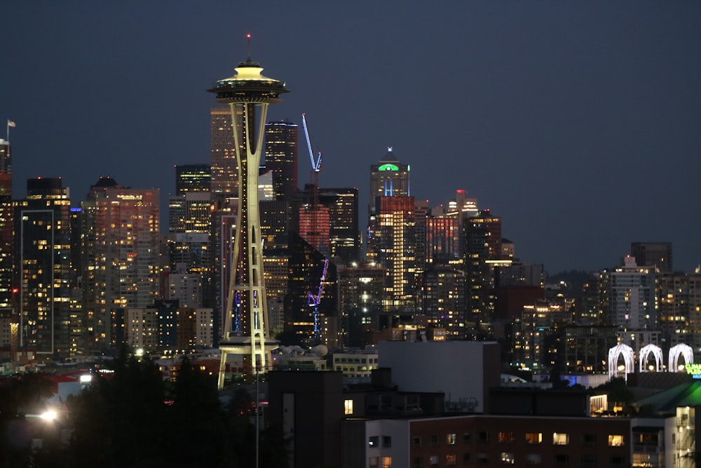 a view of a city skyline at night