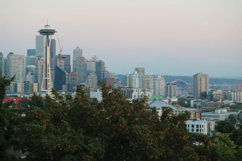a view of the seattle skyline from the top of a hill