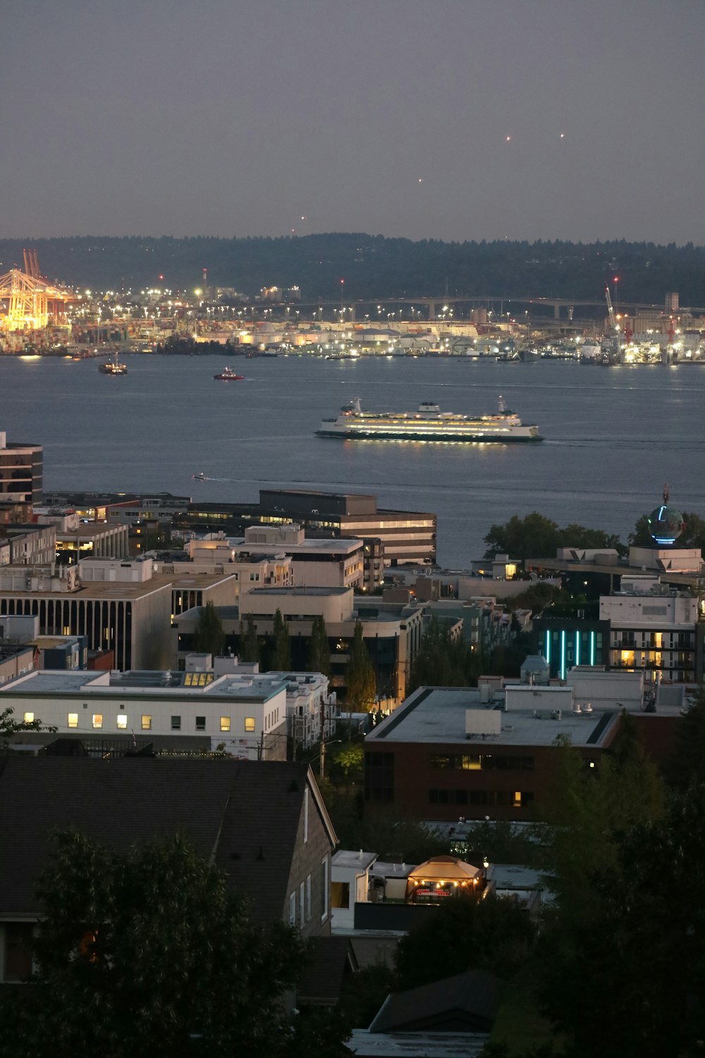 a view of a city and a body of water at night