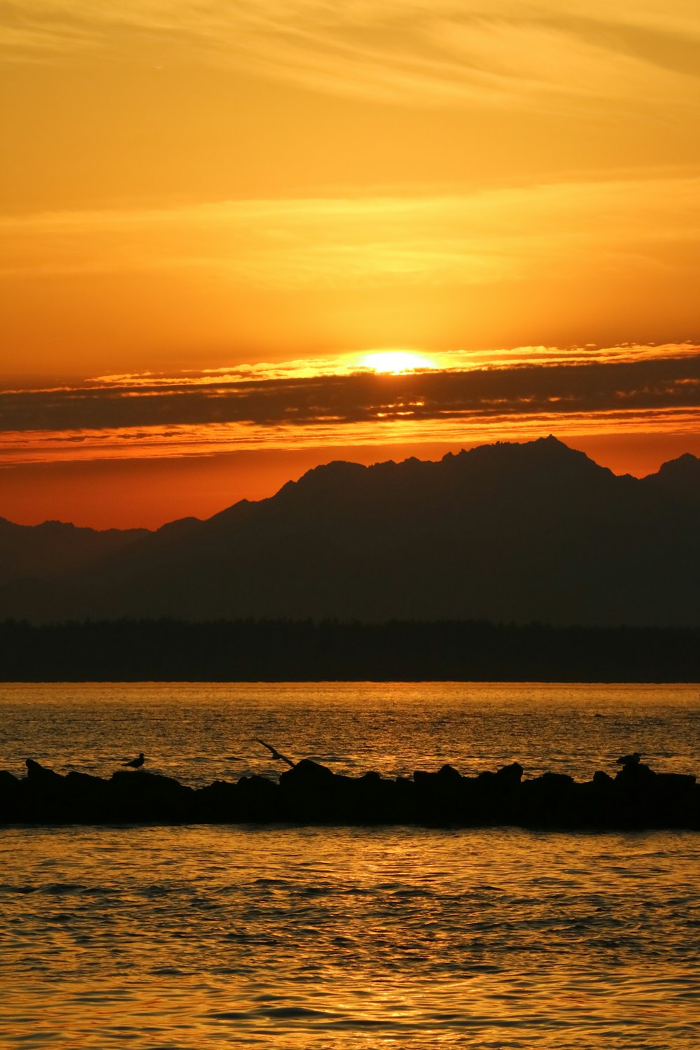 a large body of water with a sunset in the background