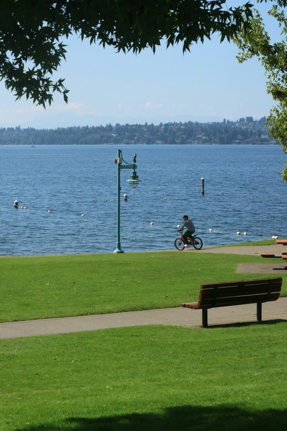 a person riding a bike on a path near the water