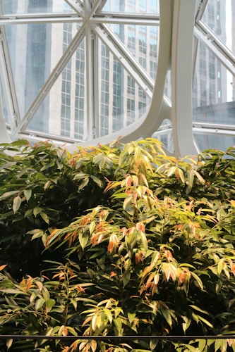 Lush green and orange-hued plants thrive under a geometric, glass-paneled ceiling, with a backdrop of modern buildings. The structure's white beams contrast with the vibrant foliage, creating a blend of natural and architectural elements.