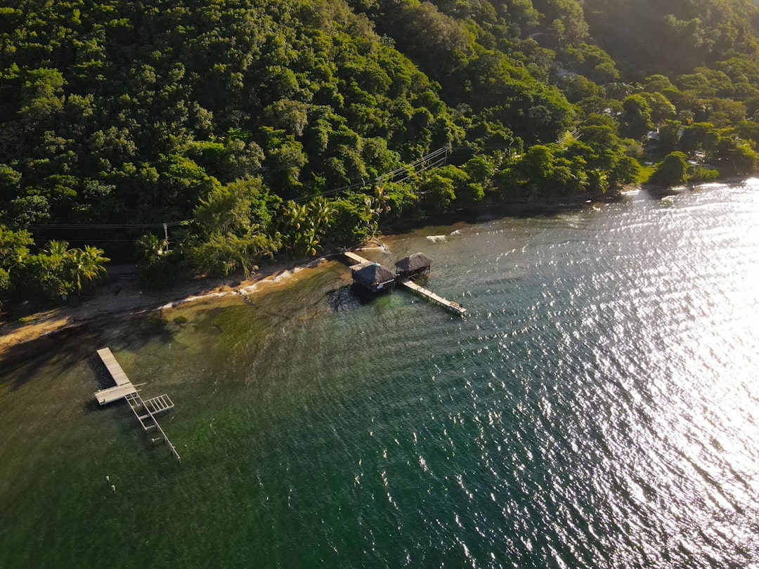 an aerial view of a lake surrounded by trees,