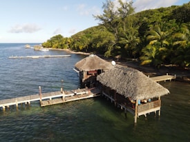A serene waterfront scene featuring two wooden huts with thatched roofs built over the water. A boardwalk connects the huts to the shoreline, which is lush with tall palm trees and dense green vegetation. The clear blue sea stretches out toward a distant horizon under a partly cloudy sky. Several smaller structures can be seen further out into the water, possibly for recreational purposes.