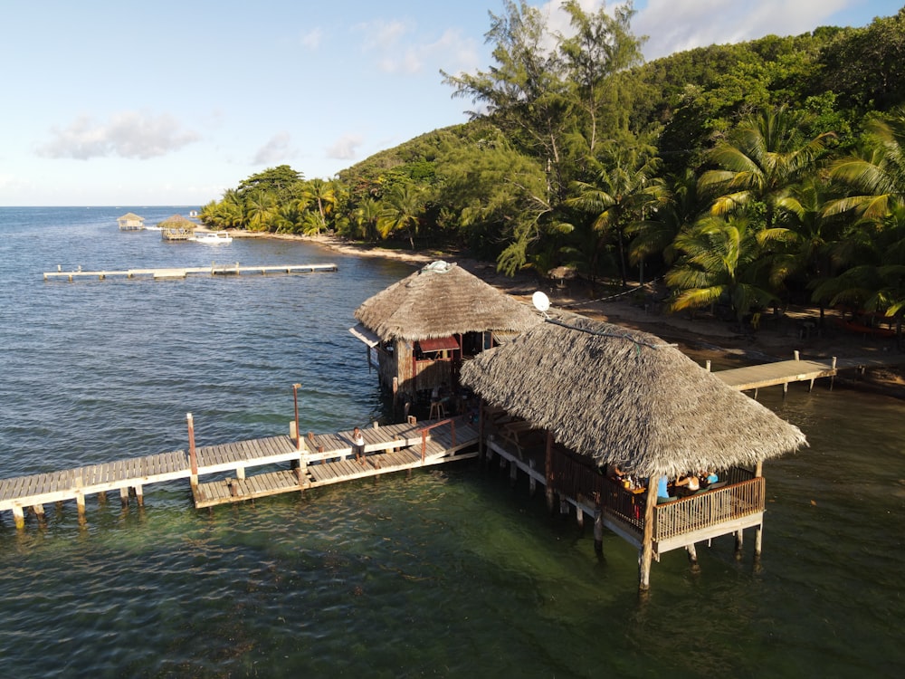 a dock with a thatched roof next to the ocean