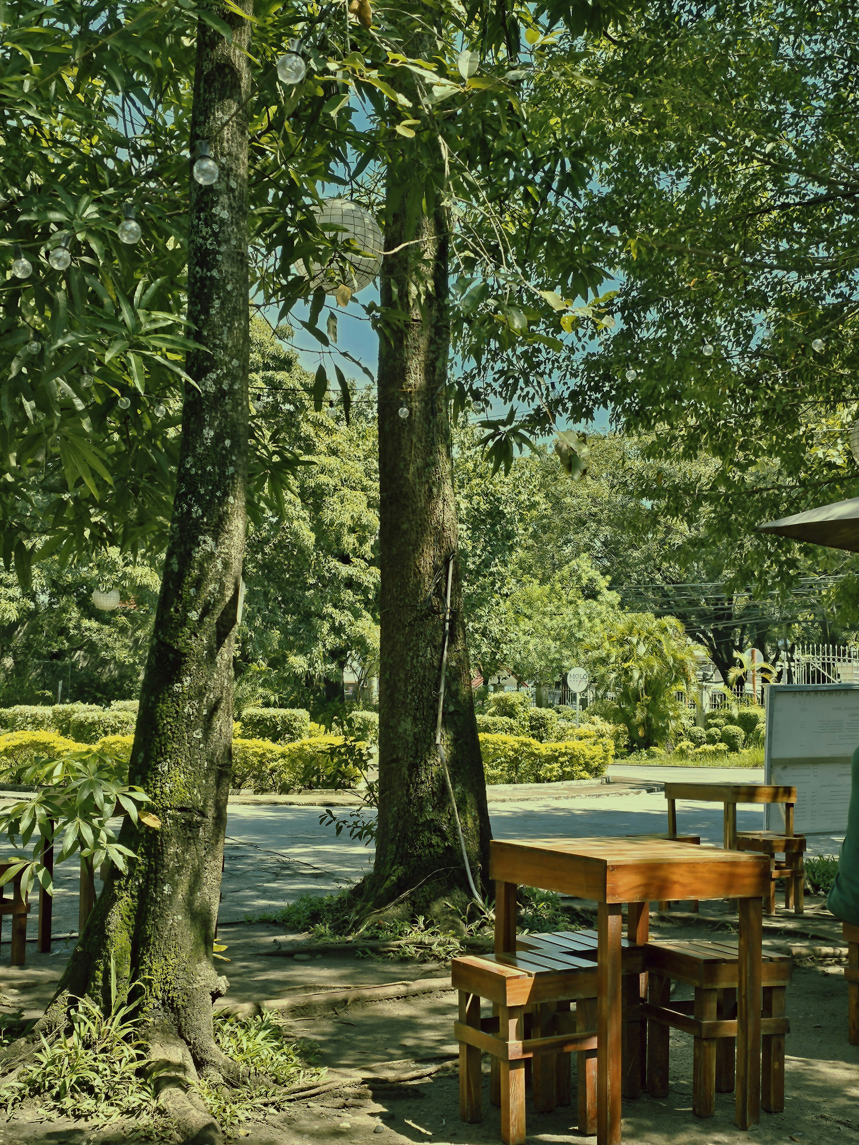 인제 자작나무 숲 카페 추천 관련 이미지1