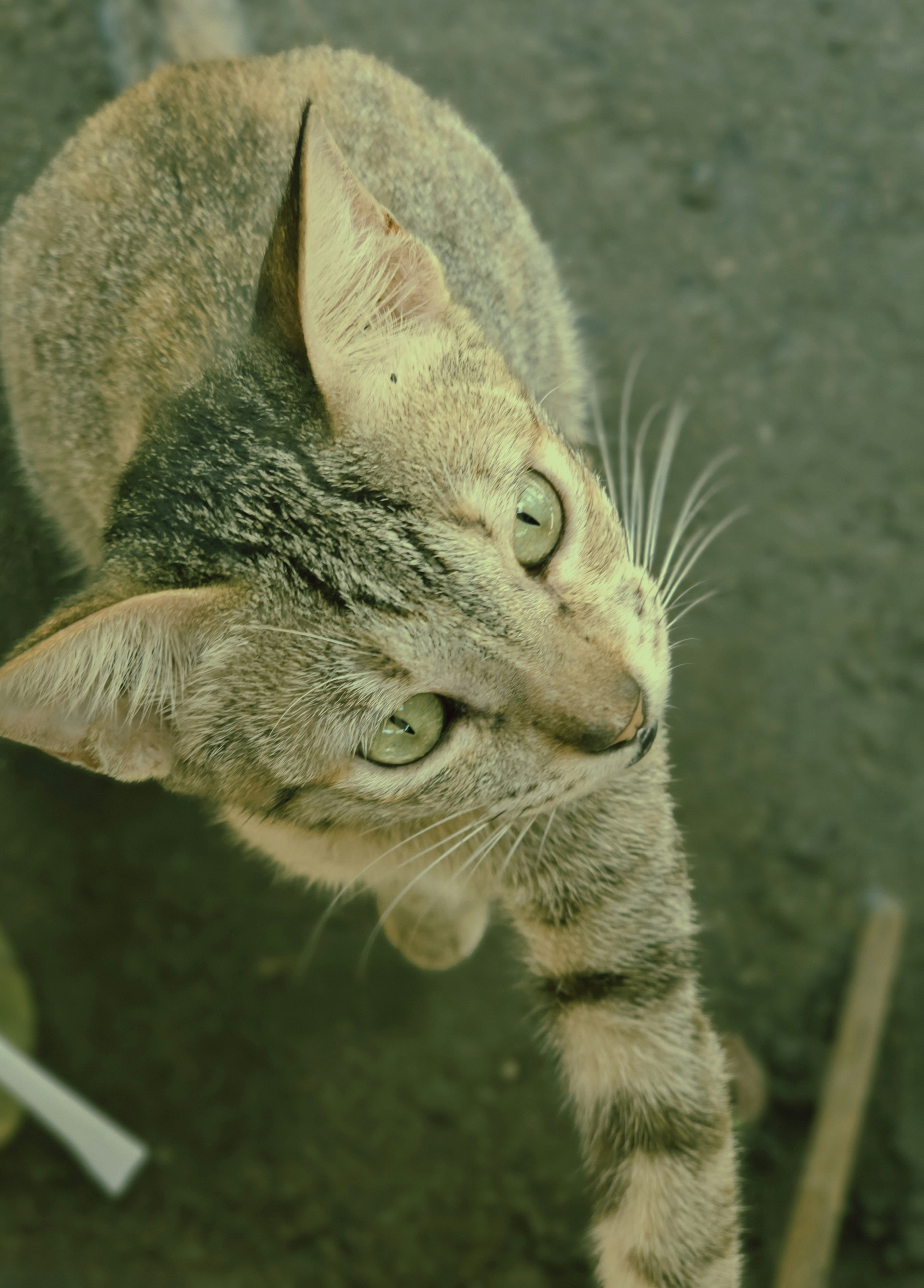 Photo by jenncausingphoto