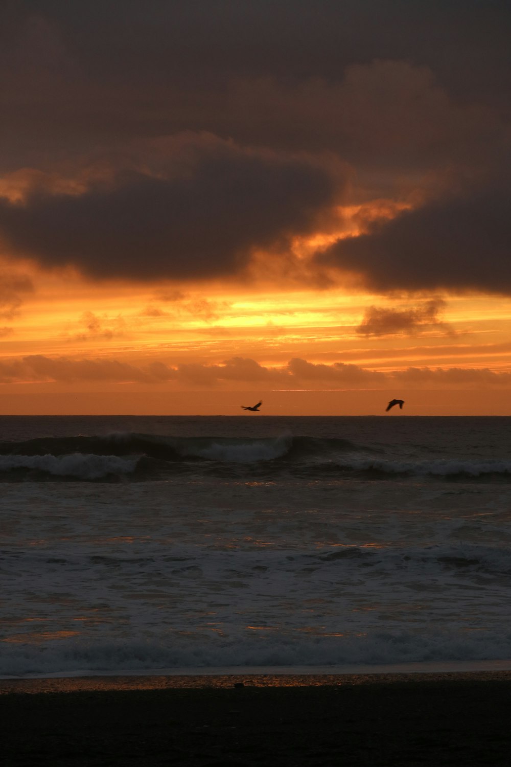two birds flying over the ocean at sunset