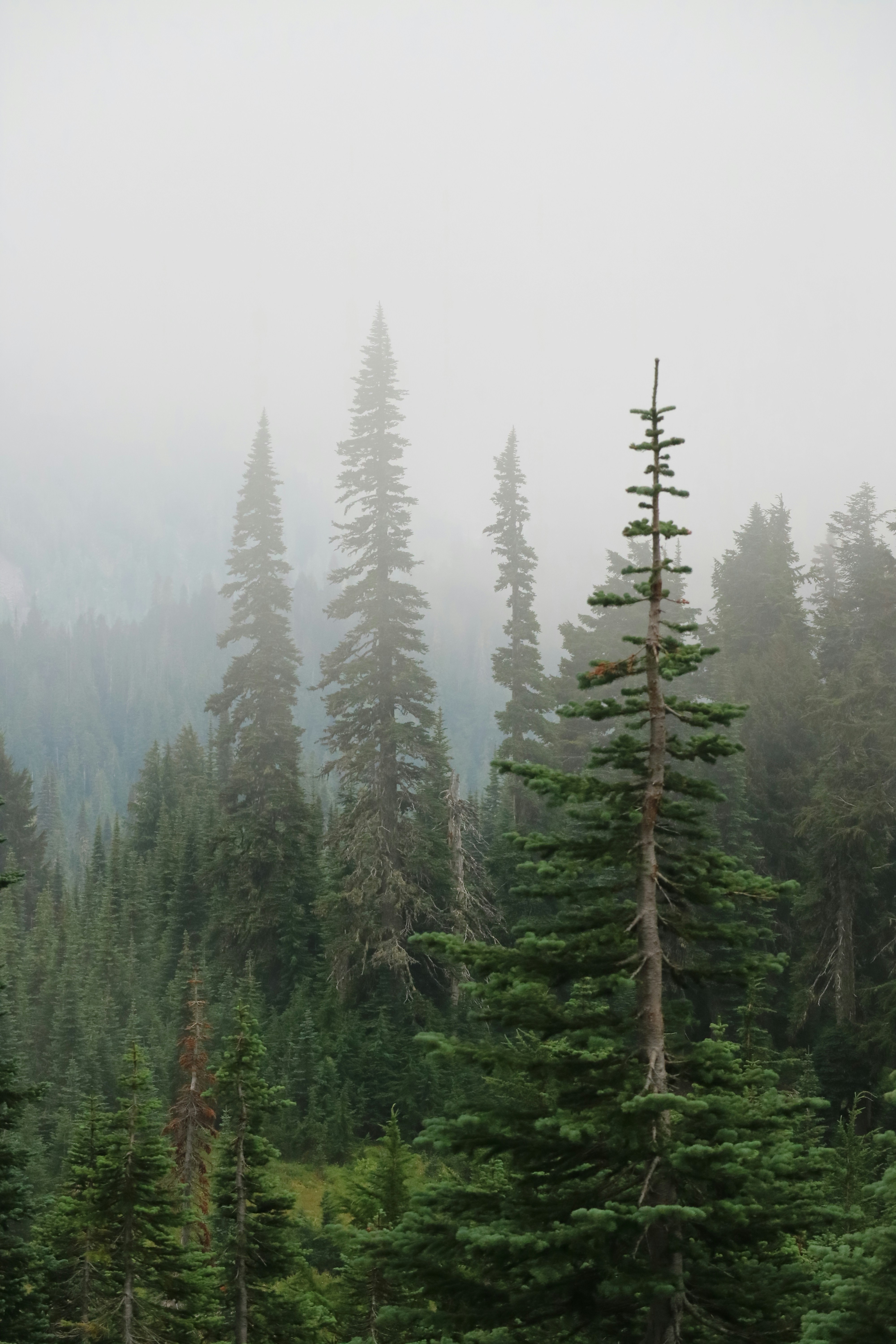 Photo by vincentyuan87