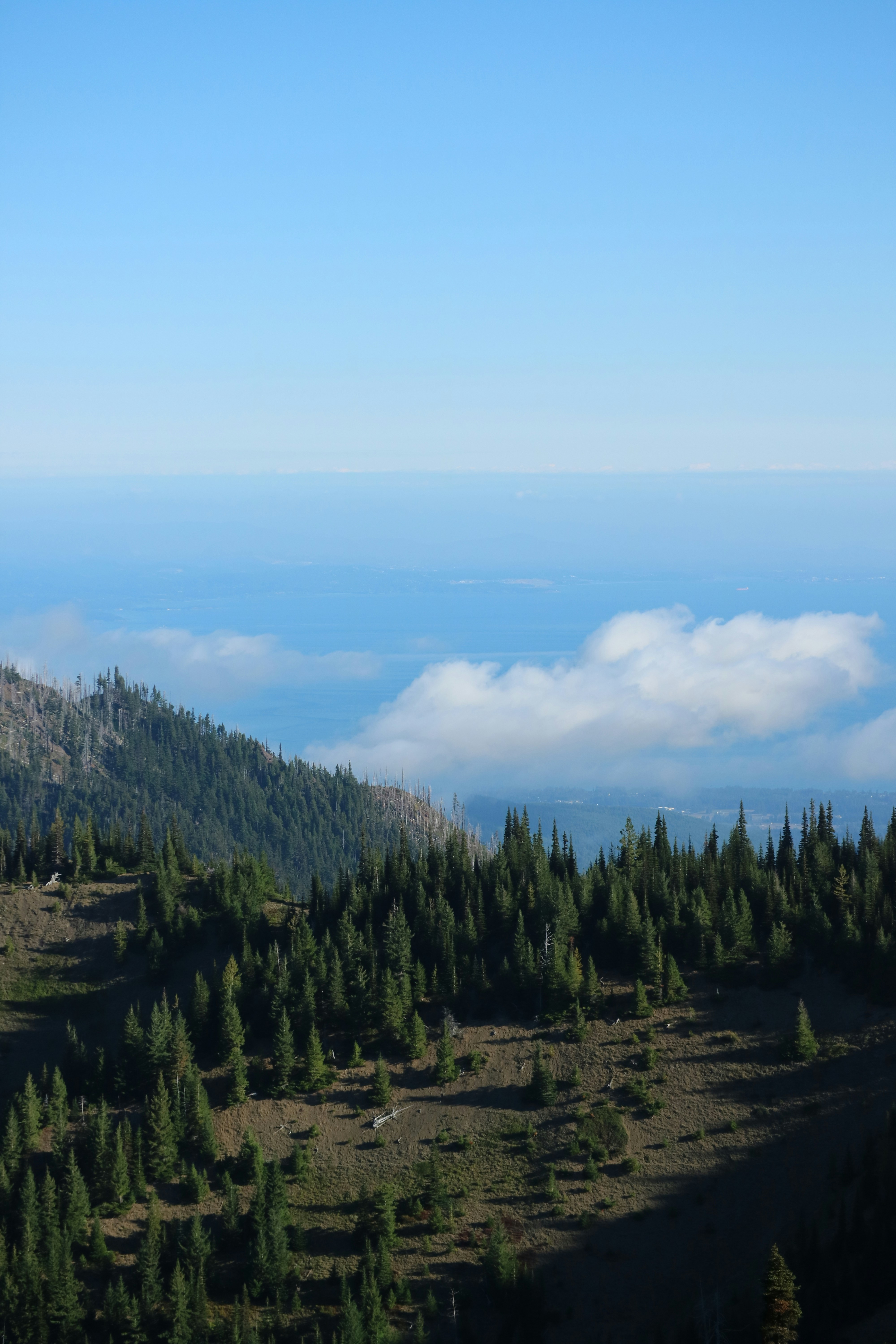 Photo by vincentyuan87