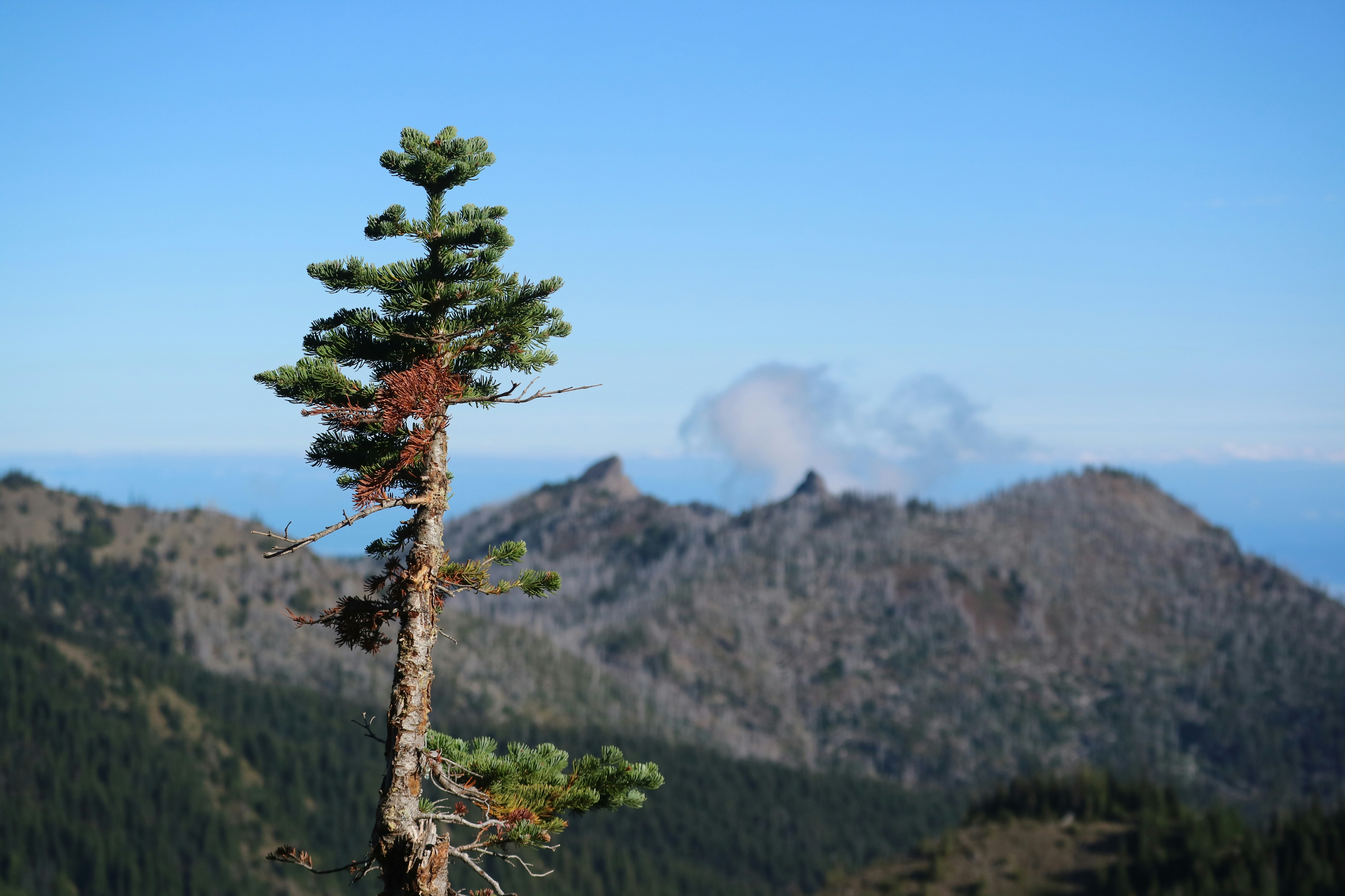 Photo by vincentyuan87