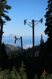 Finished steel poles standing tall along a rural electric transmission route