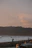 A person stands on a beach with a camera, capturing the scene of waves crashing on the shore. The foreground is filled with large pieces of driftwood, adding texture to the sandy beach. In the background, a dense forest borders the beach, extending into the distance. The sky is filled with soft, pastel hues of pink and orange, indicating either sunrise or sunset. Two birds soar in the sky near the horizon.