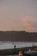 A person stands on a beach with a camera, capturing the scene of waves crashing on the shore. The foreground is filled with large pieces of driftwood, adding texture to the sandy beach. In the background, a dense forest borders the beach, extending into the distance. The sky is filled with soft, pastel hues of pink and orange, indicating either sunrise or sunset. Two birds soar in the sky near the horizon.