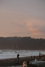 A person stands on a beach with a camera, capturing the scene of waves crashing on the shore. The foreground is filled with large pieces of driftwood, adding texture to the sandy beach. In the background, a dense forest borders the beach, extending into the distance. The sky is filled with soft, pastel hues of pink and orange, indicating either sunrise or sunset. Two birds soar in the sky near the horizon.