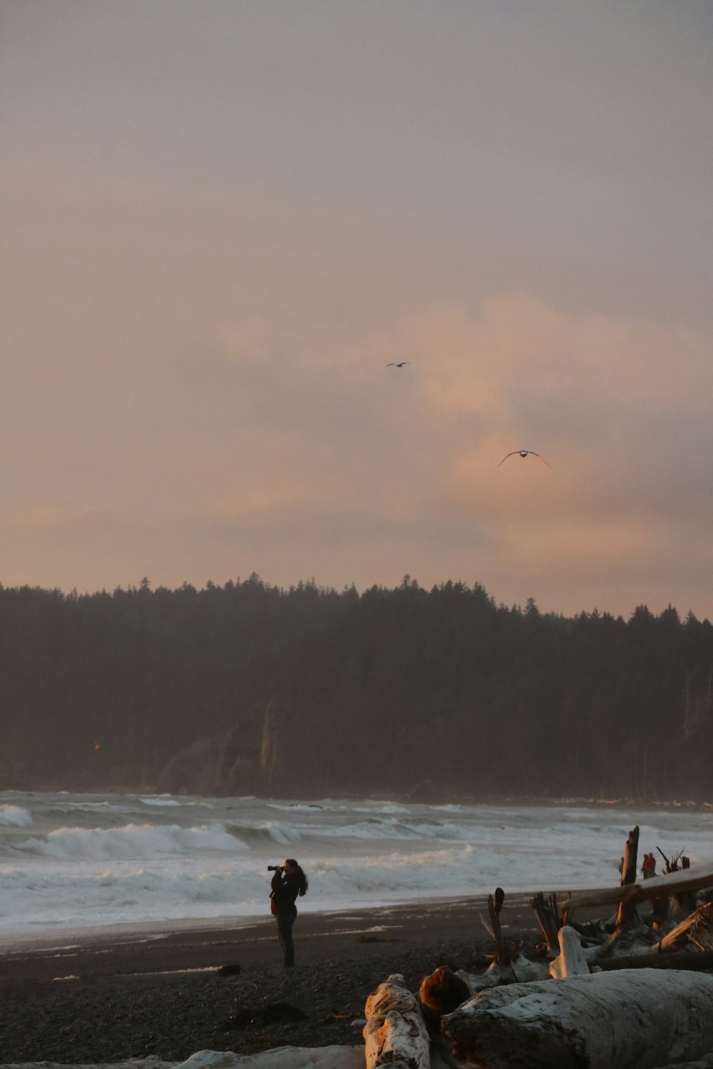 a person standing on a beach next to the ocean