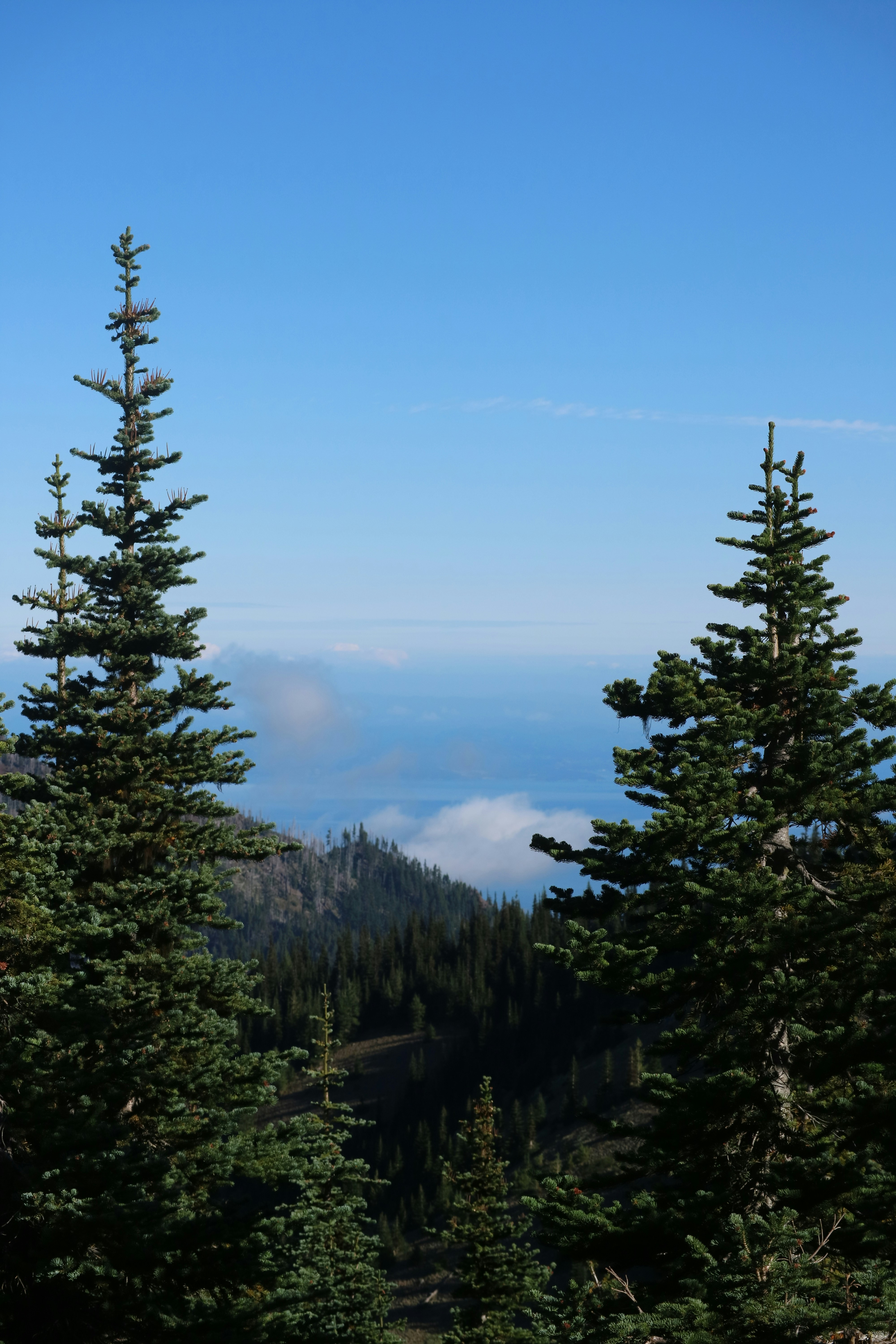 Photo by vincentyuan87