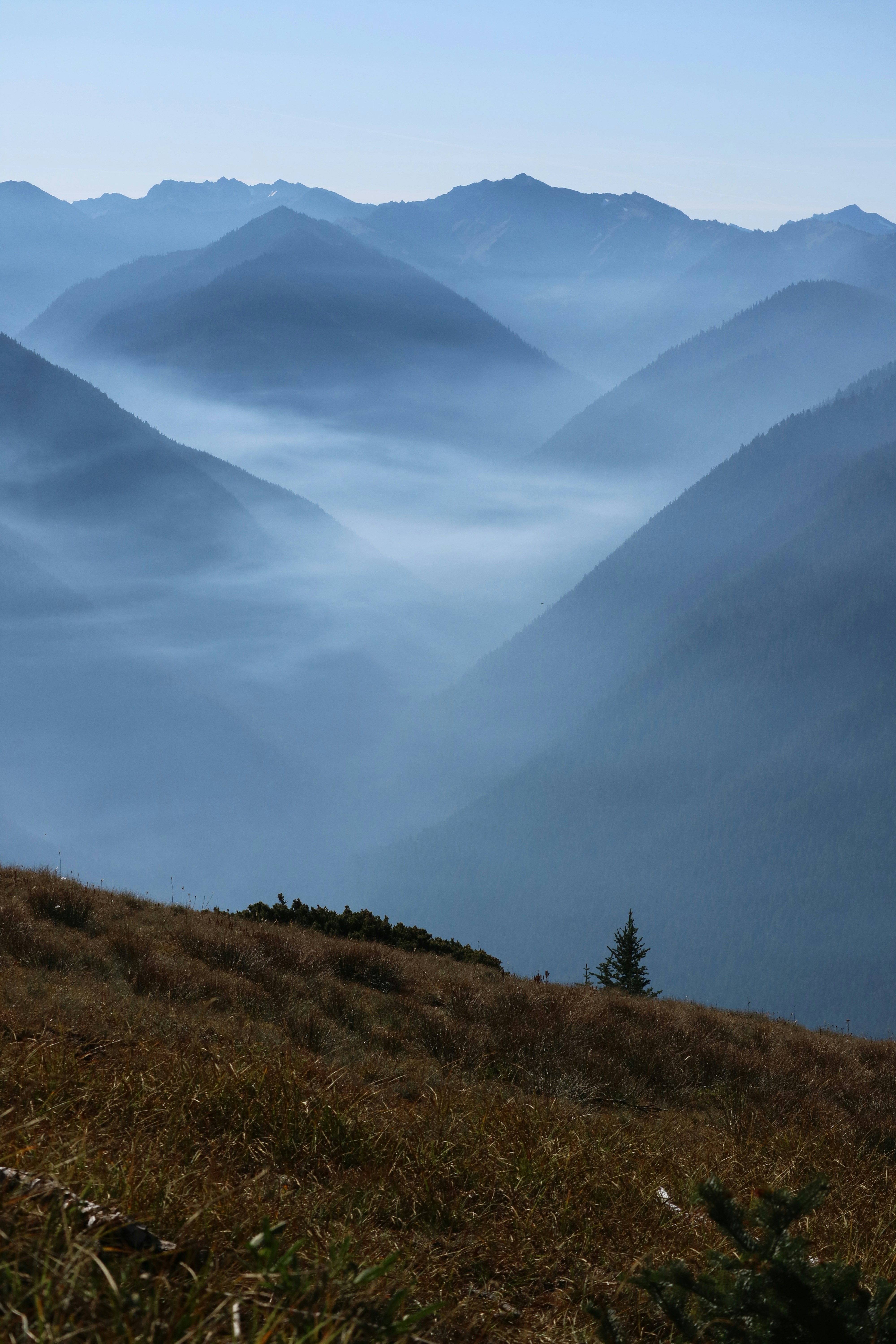 Photo by vincentyuan87