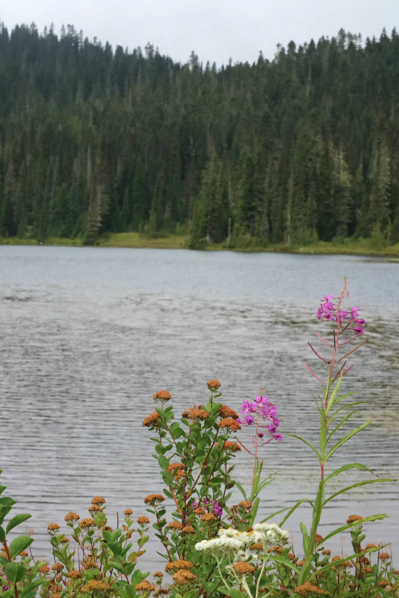 Atanasovsko Lake
