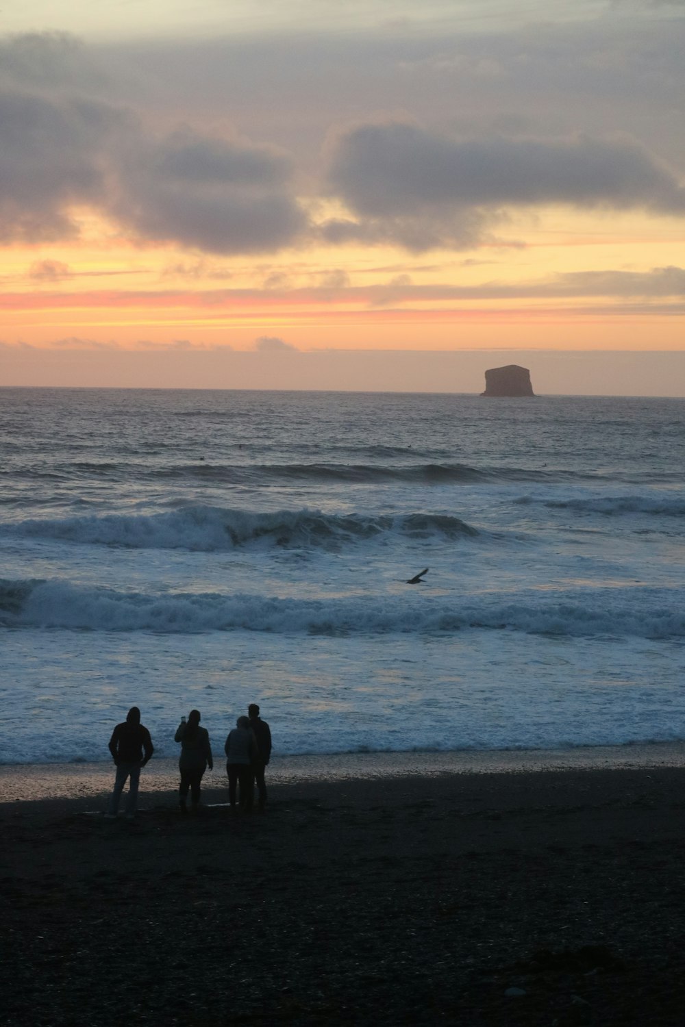 a group of people standing on top of a beach next to the ocean