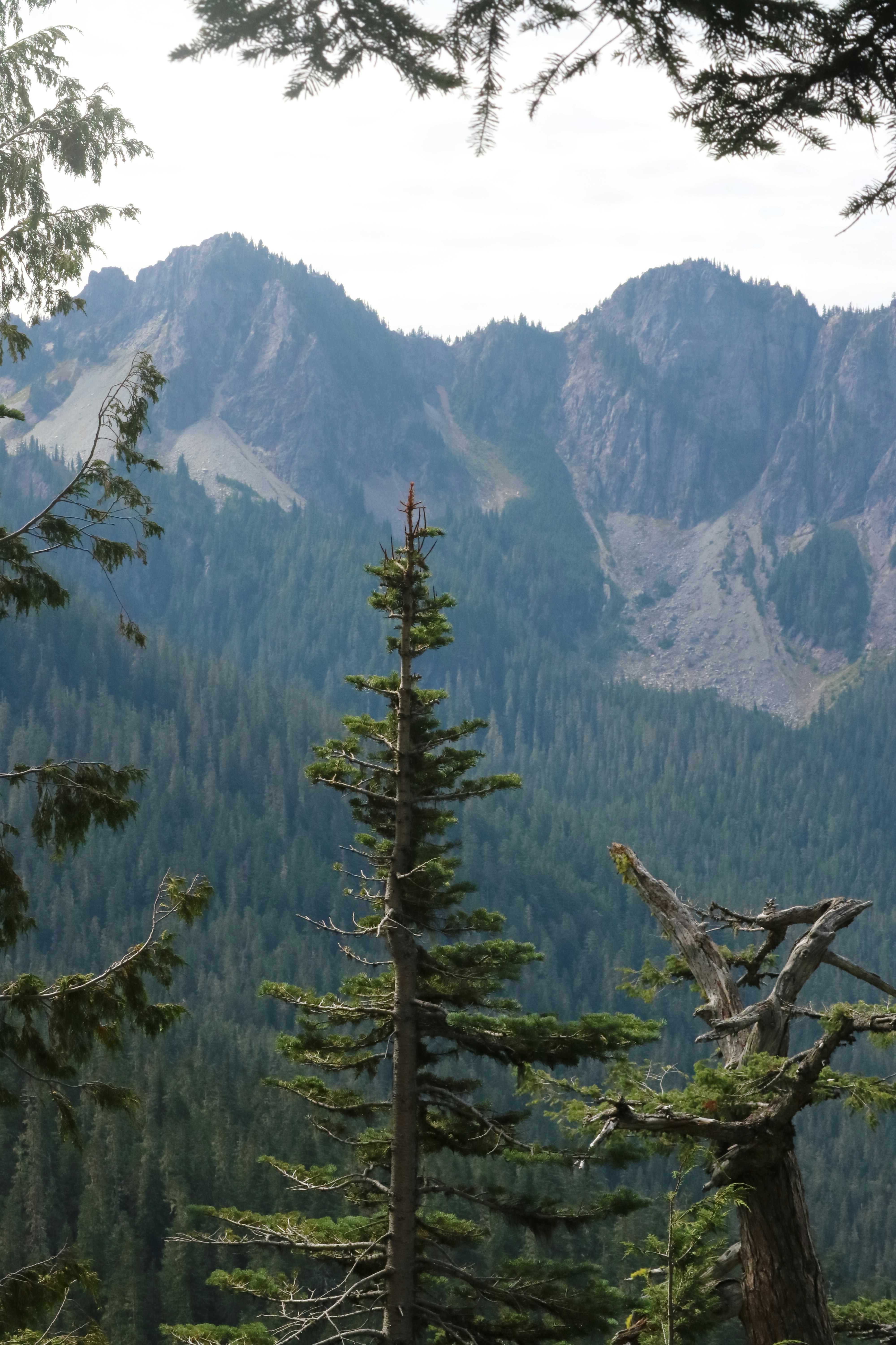 Photo by vincentyuan87