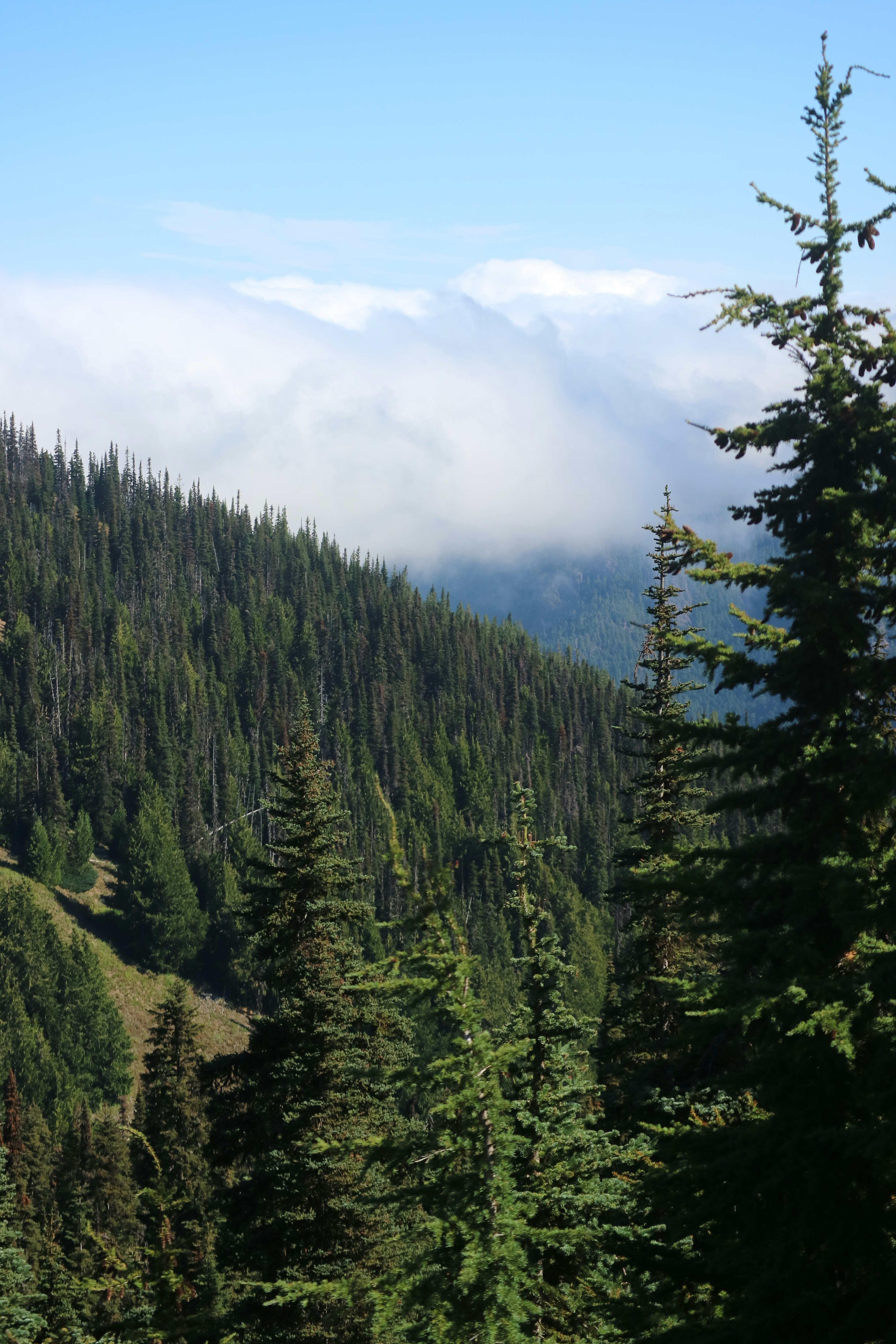 Photo by vincentyuan87