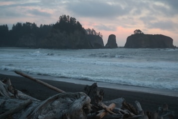 Waves crash onto a rocky shore under a cloudy sky. Forested islands or large rock formations rise from the sea in the distance, while large pieces of driftwood are scattered along the dark sandy beach.