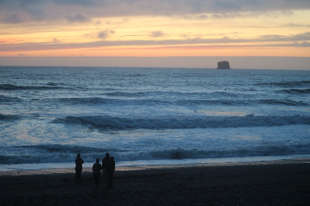 a group of people standing on top of a beach next to the ocean