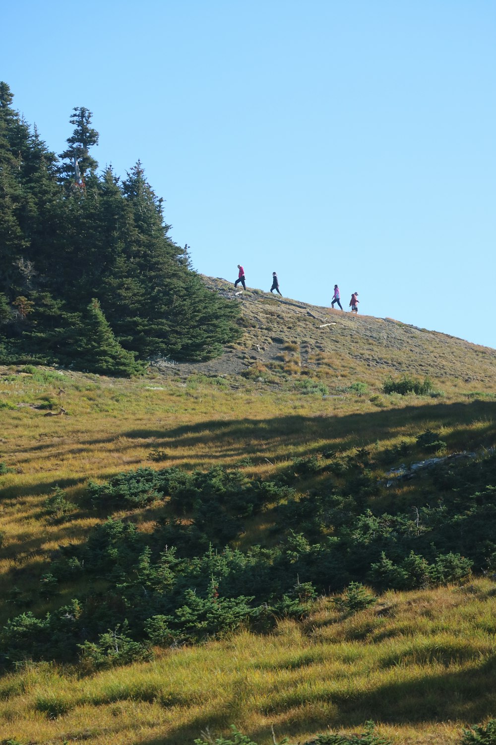 um grupo de pessoas subindo uma colina