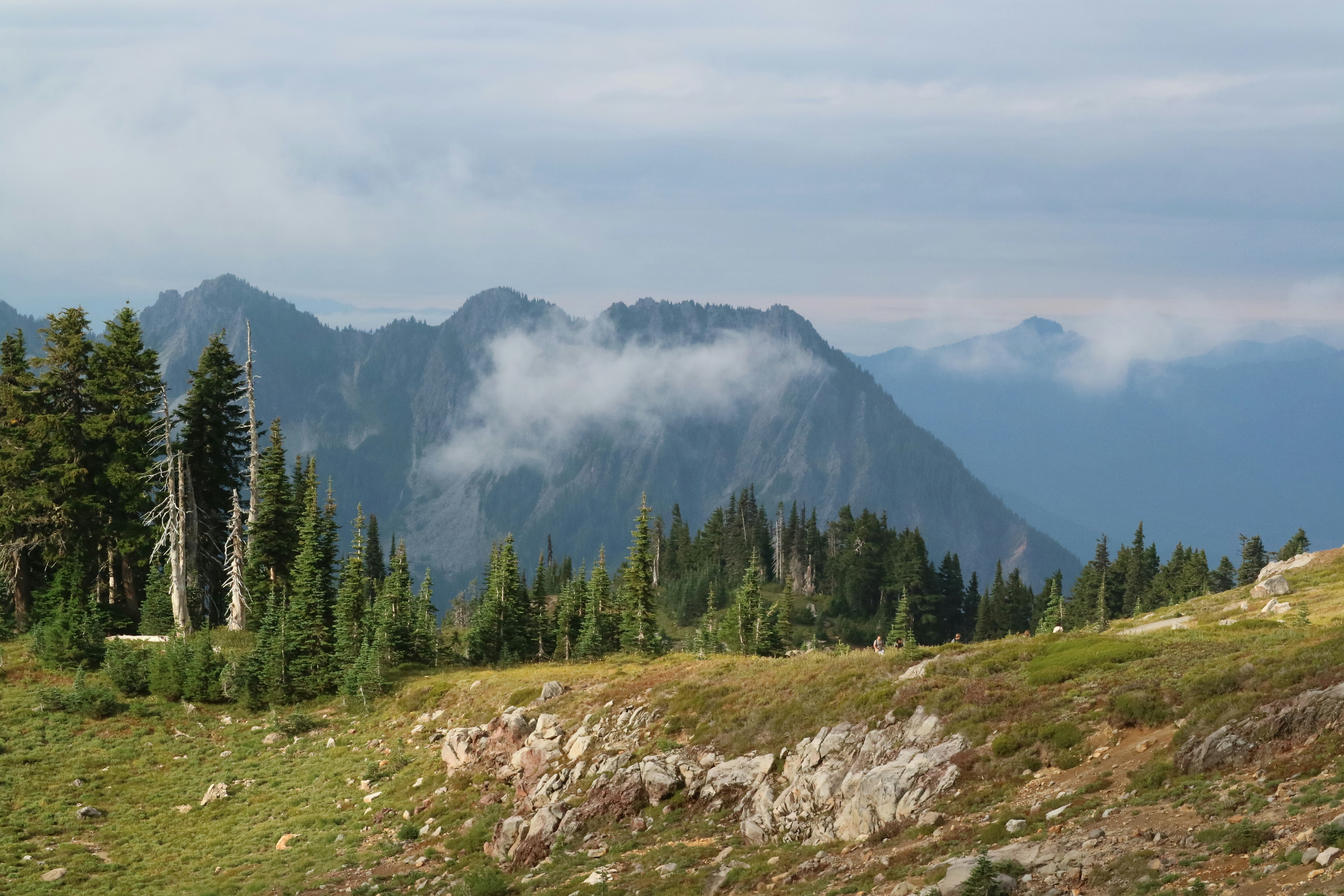 Photo by vincentyuan87