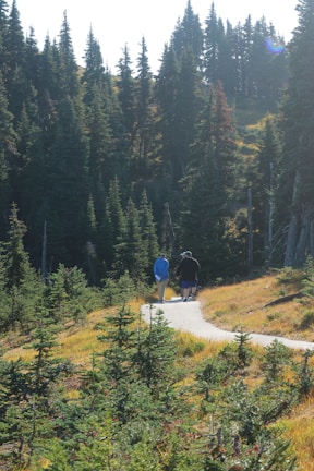 A scenic shot of the two walking side by side on a forest path.