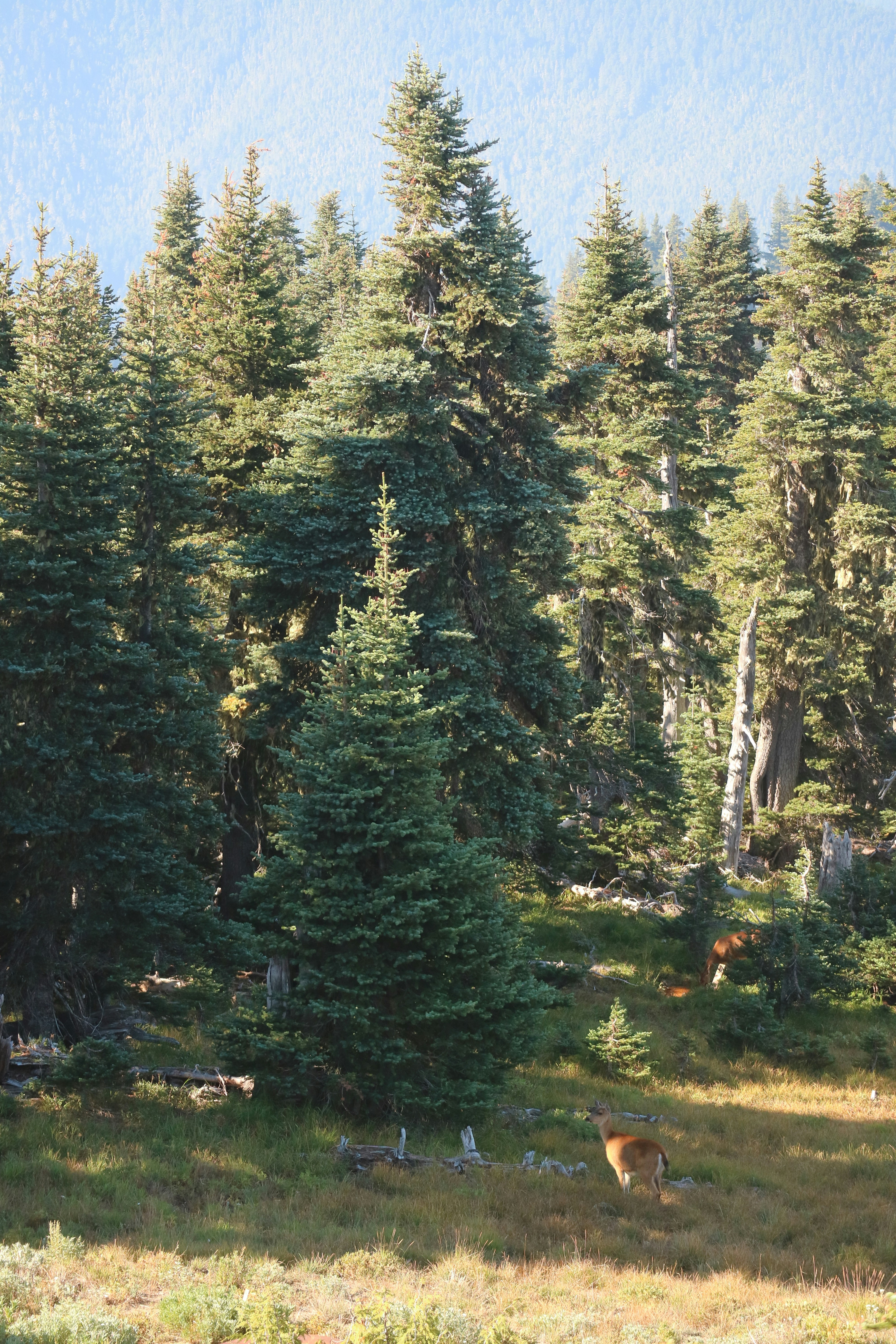 Photo by vincentyuan87