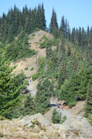 Panoramic view of a lush green forest trail with hikers enjoying a sunny day.
