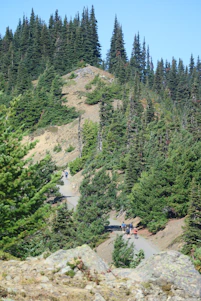 A diverse group of walkers smiling and enjoying a sunny trail surrounded by lush greenery.