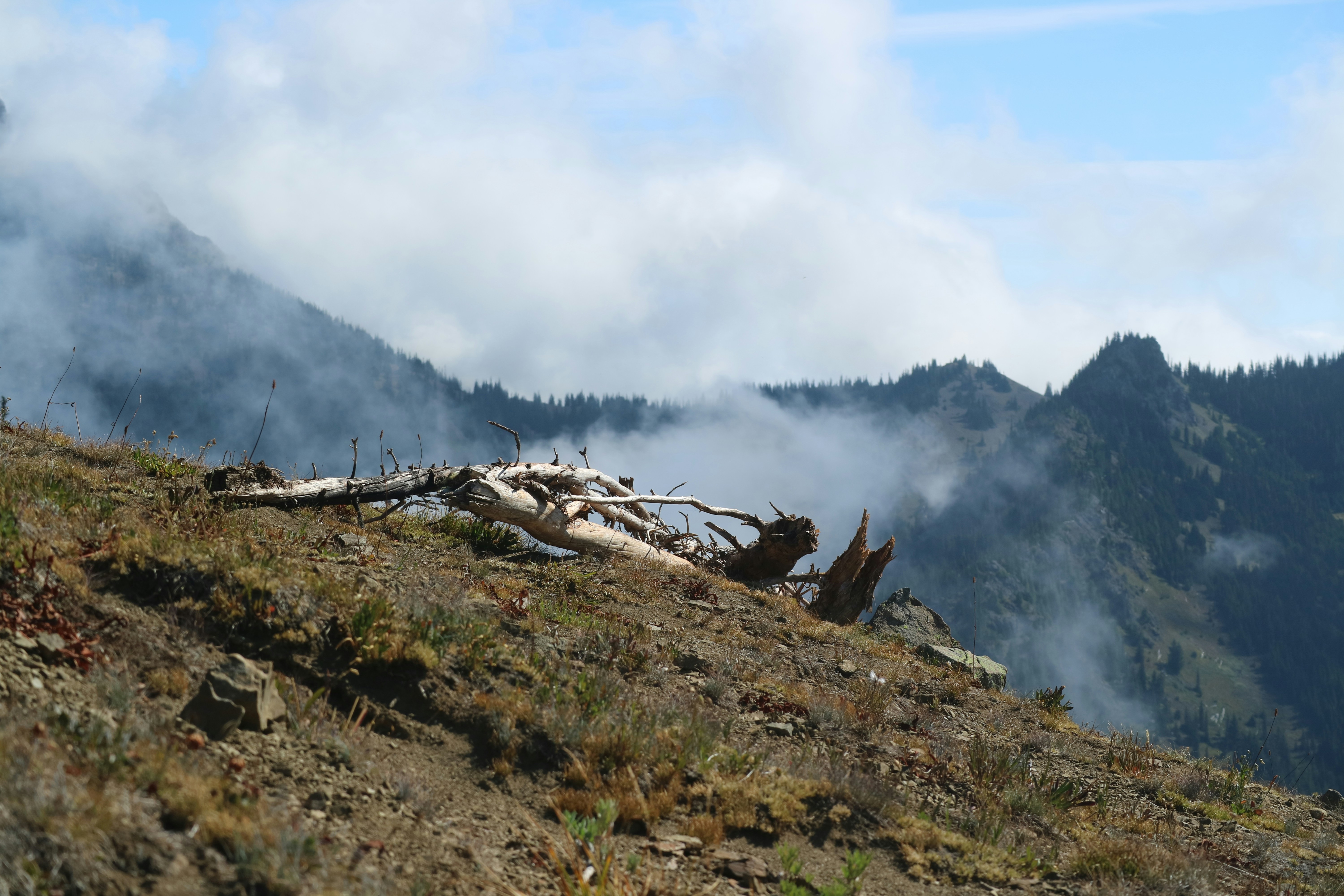 Photo by vincentyuan87