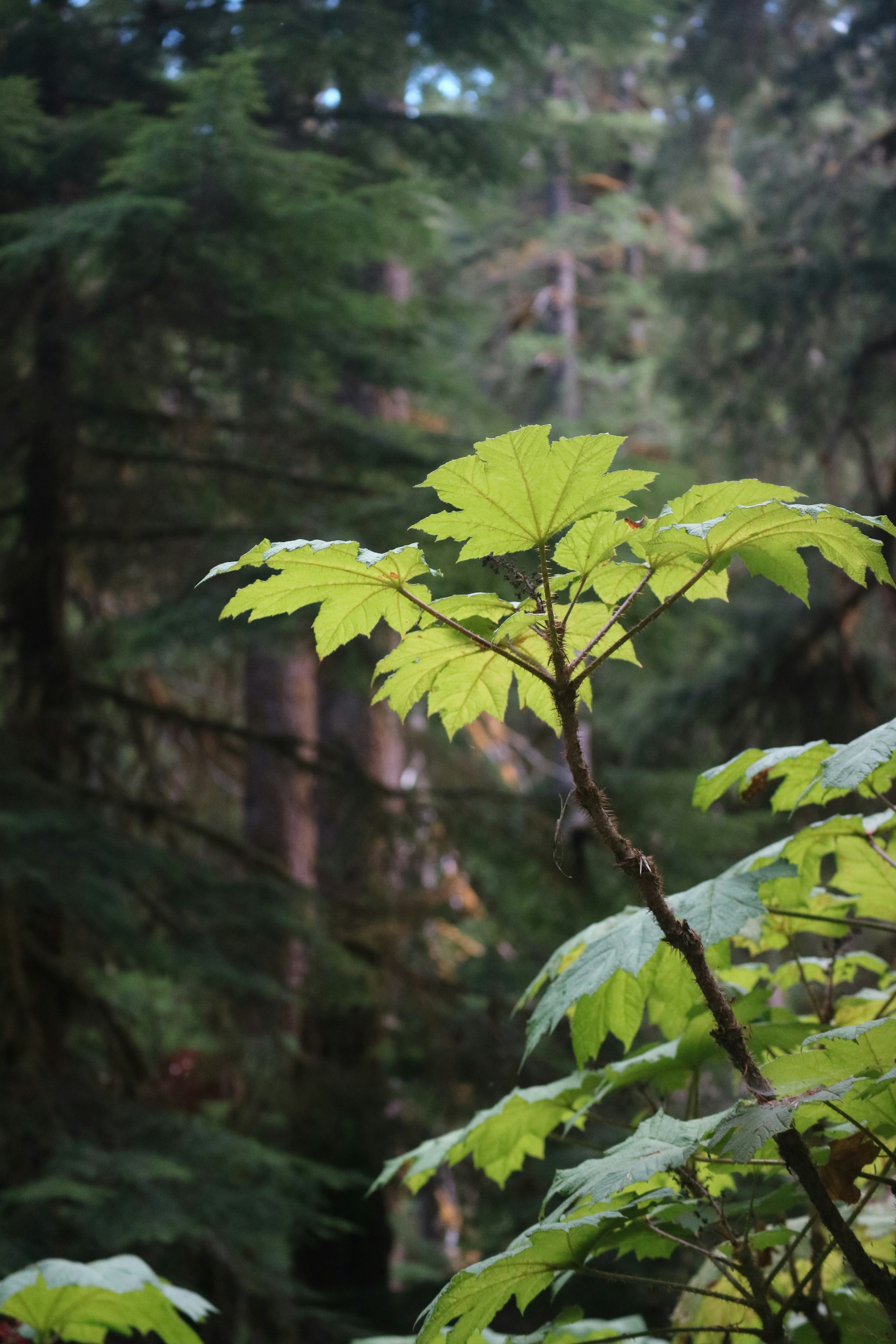 Photo by vincentyuan87