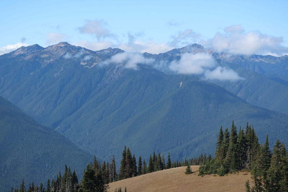 a view of a mountain range with trees in the foreground