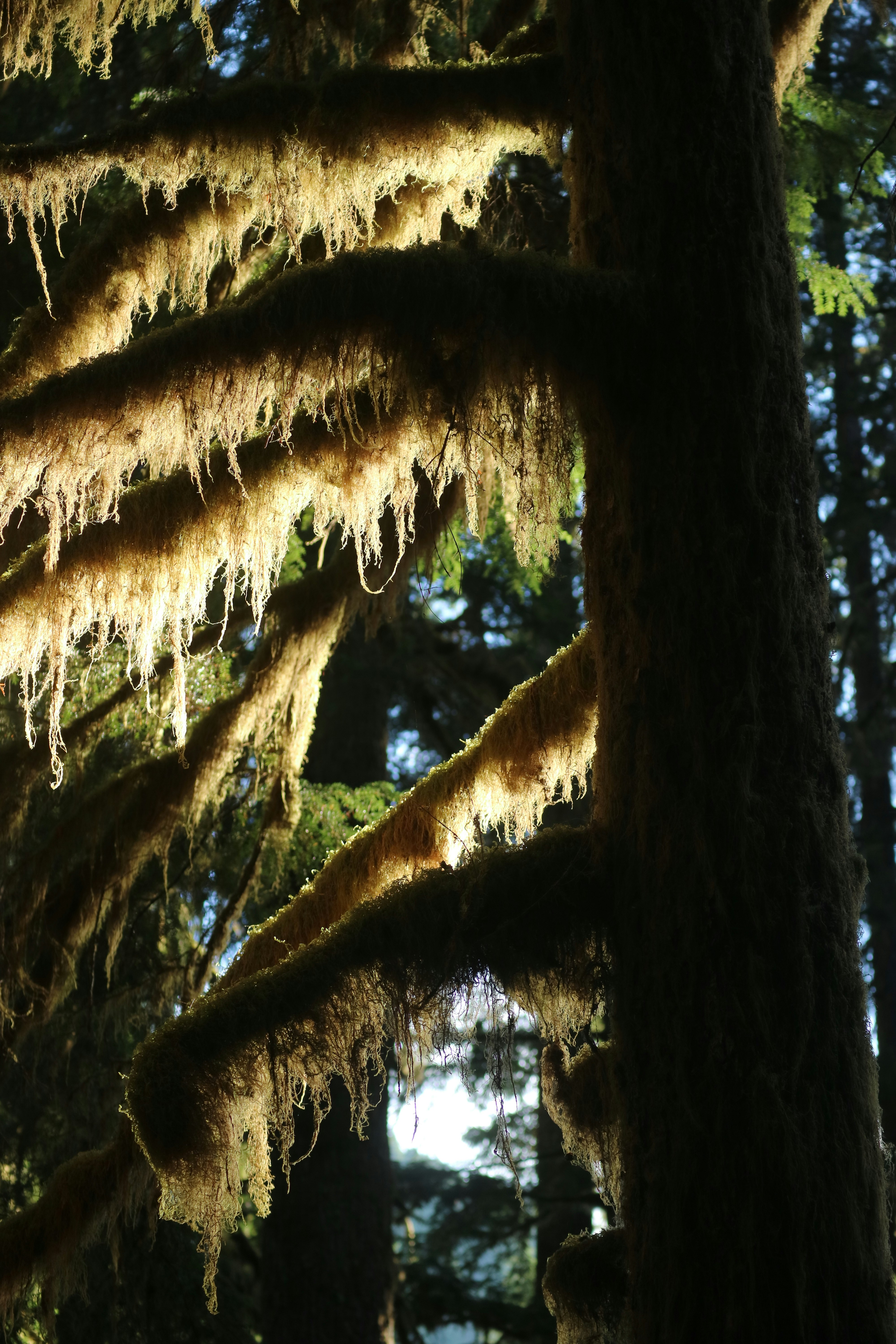 Photo by vincentyuan87