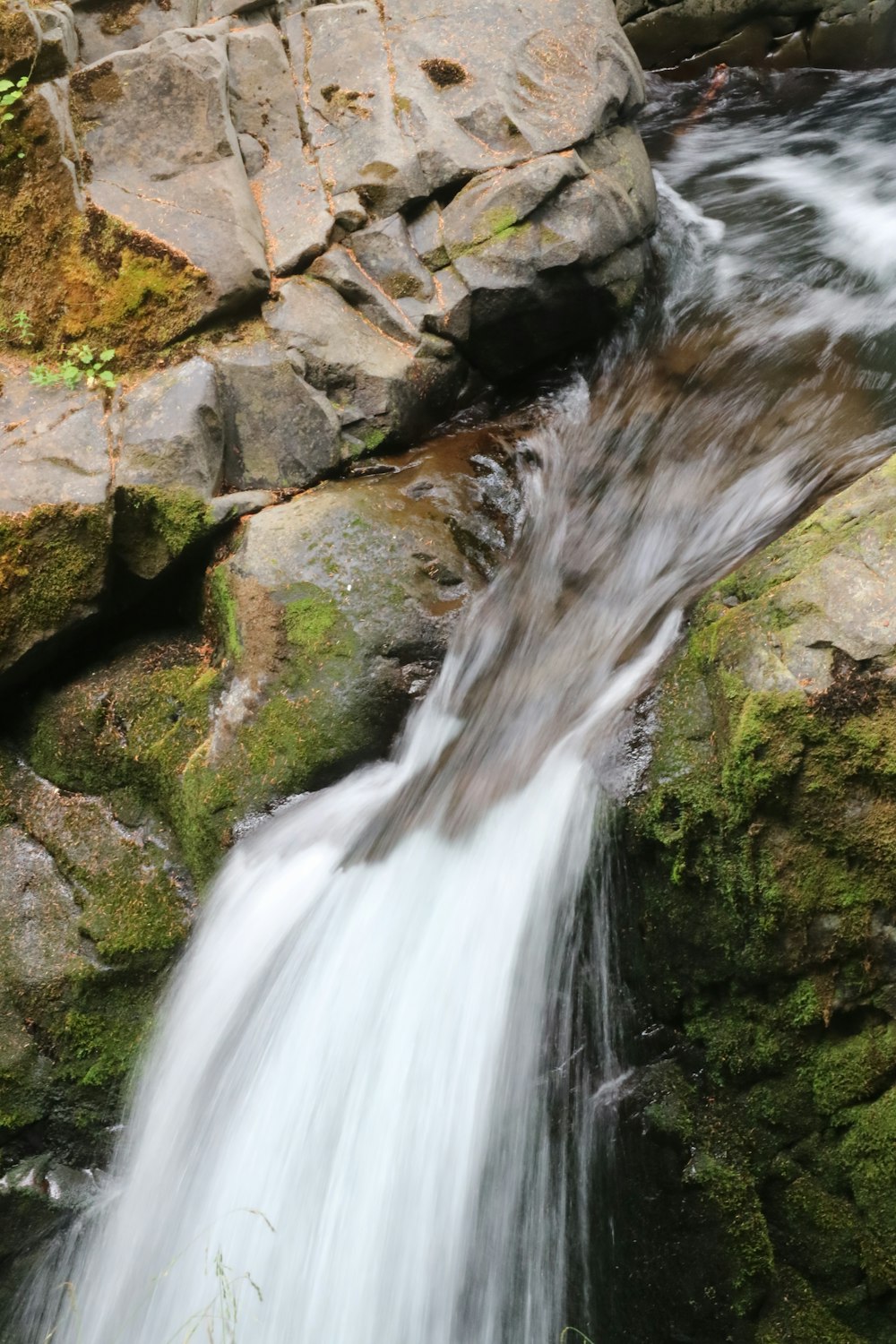 a stream of water running over rocks in a forest