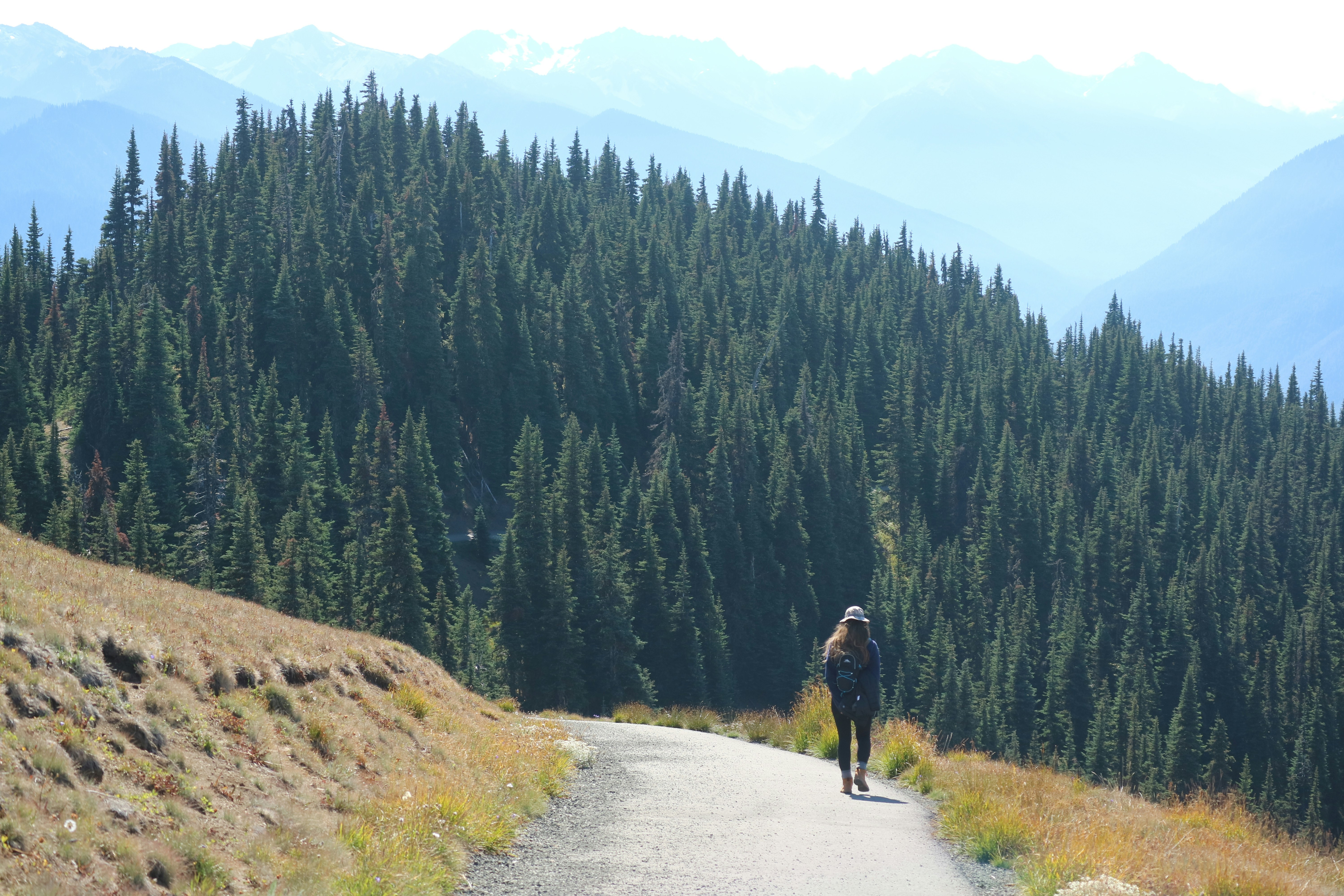a person walking down a path in the mountains