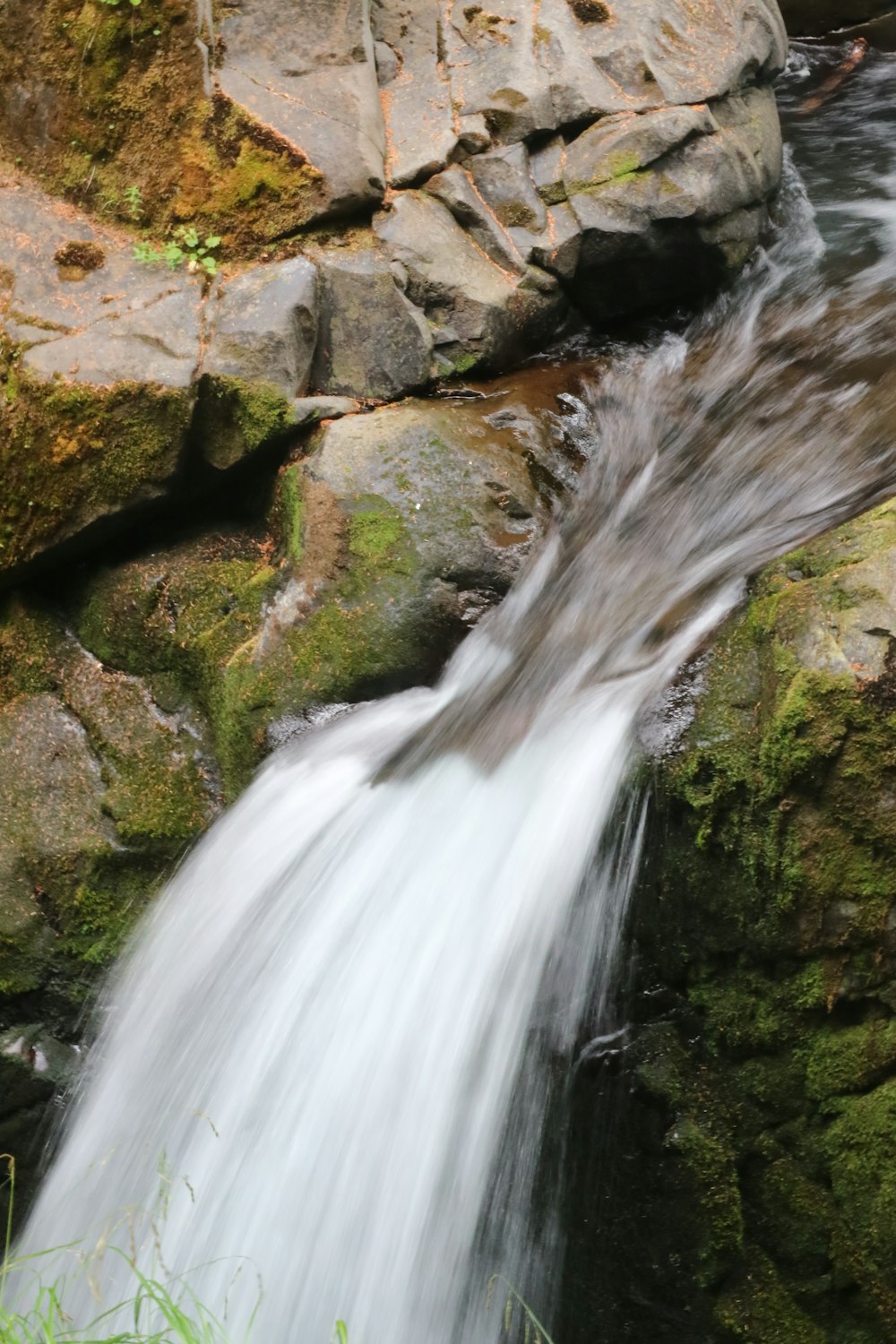 Una corriente de agua corriendo sobre rocas en un bosque