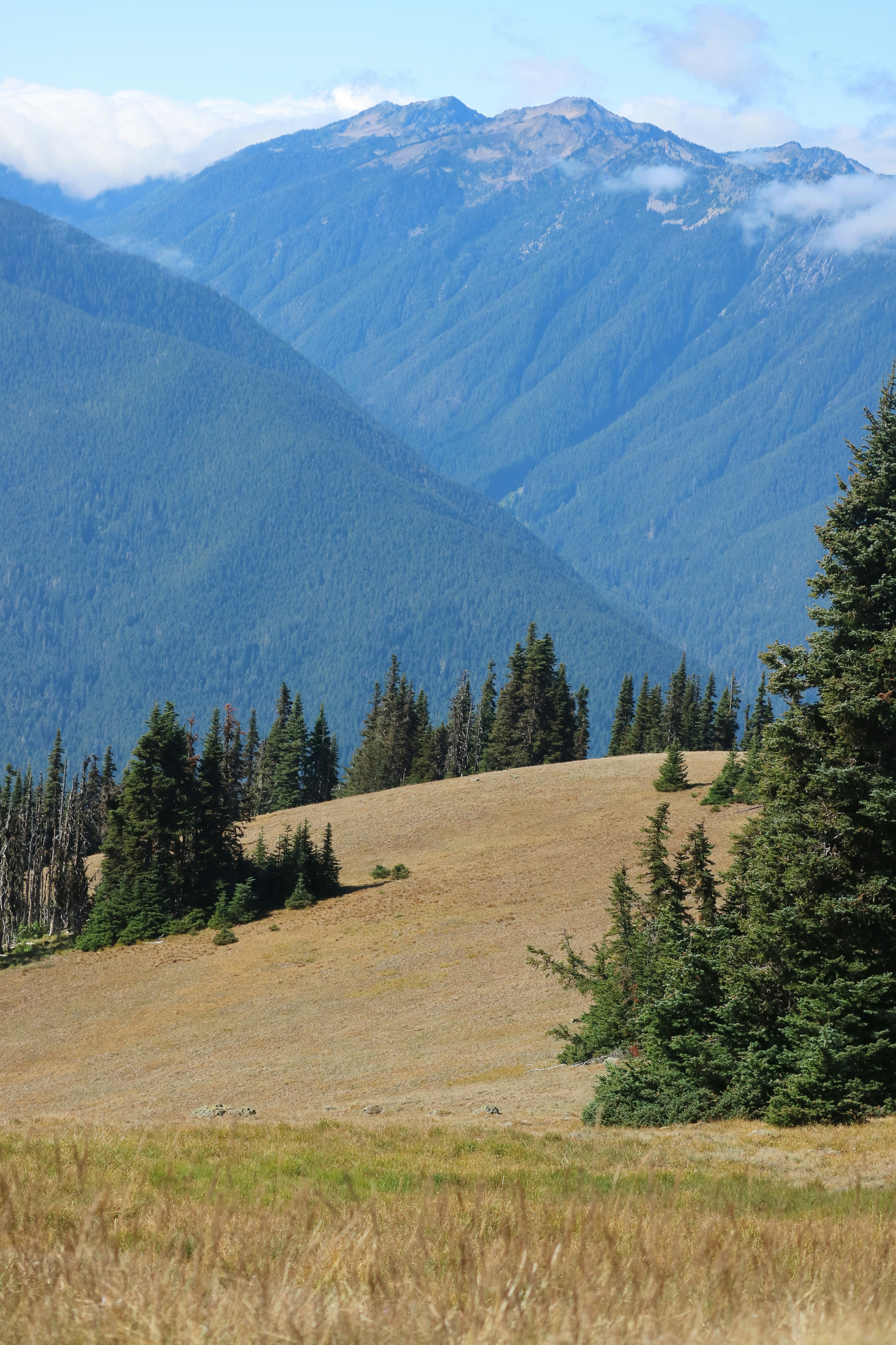 Photo by vincentyuan87