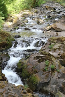A gentle mountain stream flowing over smooth stones, surrounded by lush moss and ferns.